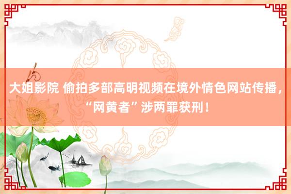 大姐影院 偷拍多部高明视频在境外情色网站传播，“网黄者”涉两罪获刑！