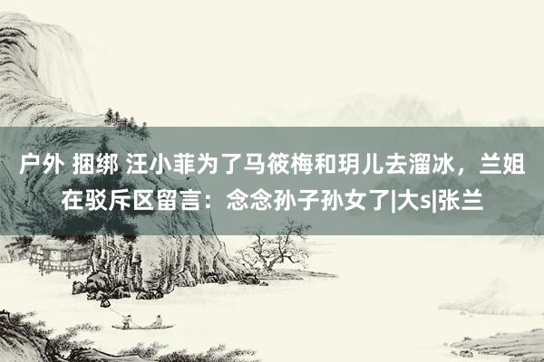 户外 捆绑 汪小菲为了马筱梅和玥儿去溜冰，兰姐在驳斥区留言：念念孙子孙女了|大s|张兰