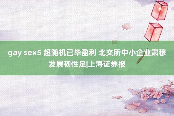 gay sex5 超随机已毕盈利 北交所中小企业肃穆发展韧性足|上海证券报