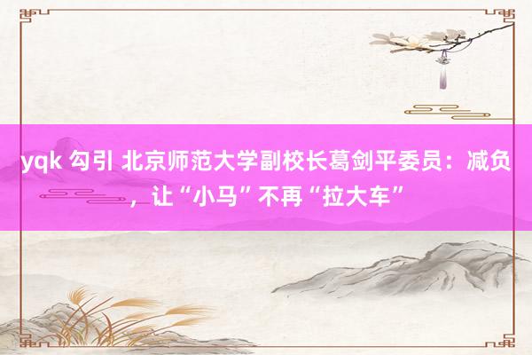 yqk 勾引 北京师范大学副校长葛剑平委员：减负，让“小马”不再“拉大车”
